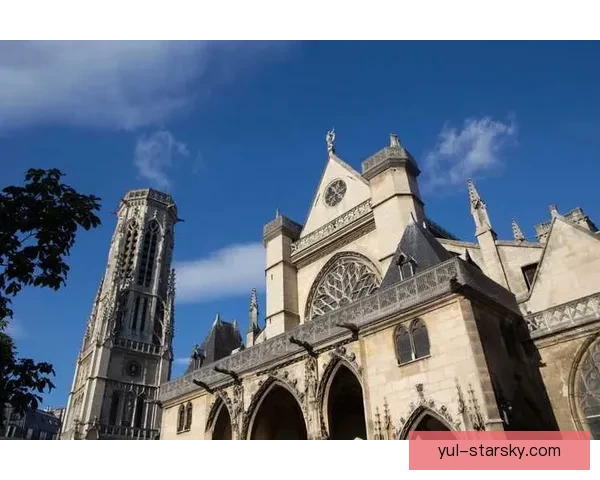 托利索纳尔泰助里昂胜尼斯